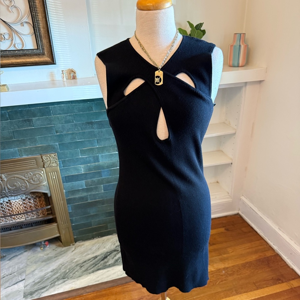 NWT Lucy Paris Cutout Knit Mini Dress